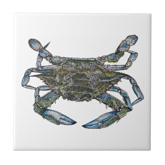 Chesapeake Bay Blue Crab Fliese (Vorderseite)