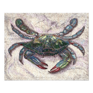 Chesapeake Bay Blue Crab Foto Print