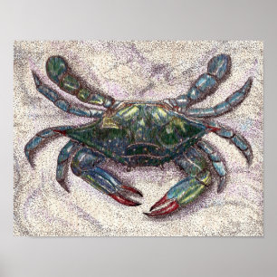 Chesapeake Bay Blue Crab Poster