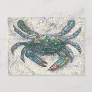 Chesapeake Bay Blue Crab Postkarte