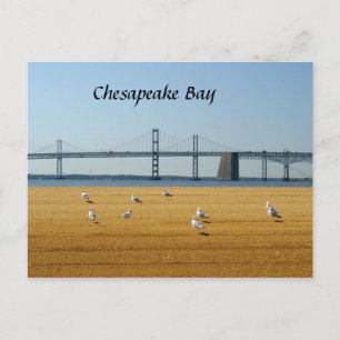 Chesapeake Bay Bridge Postkarte