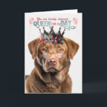 Chesapeake Bay Dog Queen for Day Funny Birthday Karte<br><div class="desc">Die Hundemutter,  Züchterin,  Rettungsgal oder Liebhaber der Hunderasse Chesapeake Bay Retriever wird sich sicher quälen,  wenn sie diese bezaubernde und humorvolle Geburtstagskarte öffnet.</div>