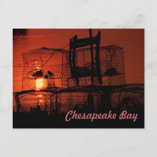 Chesapeake Bay Postkarte