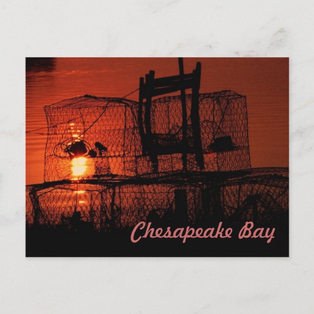 Chesapeake Bay Postkarte (Vorderseite)