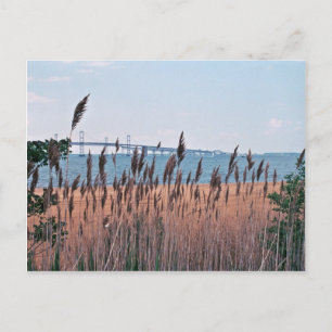 Chesapeake Bay Postkarte