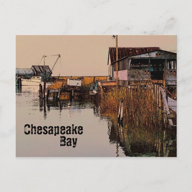 Chesapeake Bay Postkarte (Vorderseite)