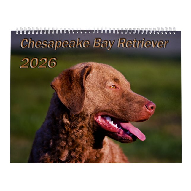 Chesapeake Bay Retriever 2026 Calendar Kalender (Titelbild)