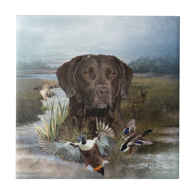 Chesapeake Bay Retriever, Art Fliese (Vorderseite)