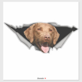 Chesapeake Bay Retriever decal, Dog Sticker