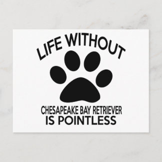 CHESAPEAKE BAY RETRIEVER DESIGNS POSTKARTE