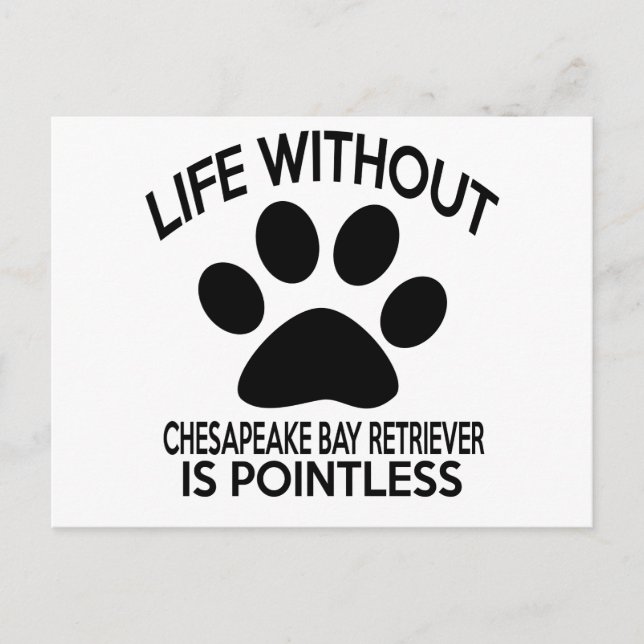 CHESAPEAKE BAY RETRIEVER DESIGNS POSTKARTE (Vorderseite)