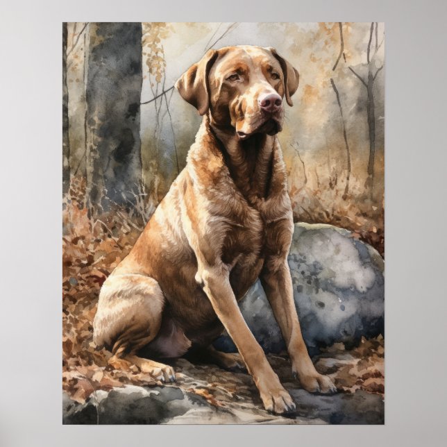 Chesapeake Bay Retriever Dog Art Print Poster (Vorne)