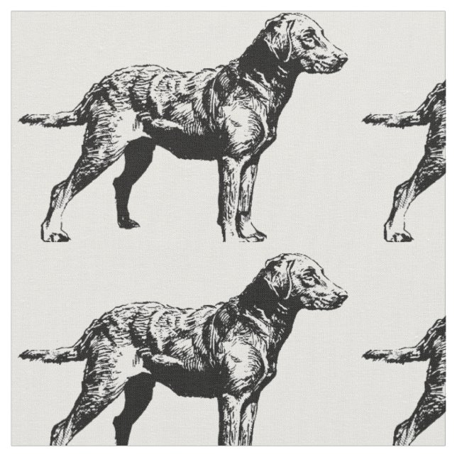 Chesapeake_Bay_Retriever_drawing.png Stoff (Nahaufnahme)