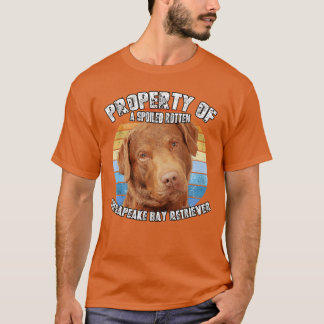 Chesapeake Bay Retriever Eigentum von Junge vintag T-Shirt