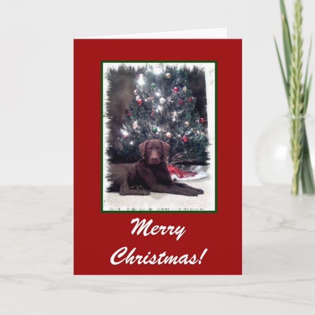 Chesapeake Bay Retriever, Frohe Weihnachten! Feiertagskarte (Vorderseite)