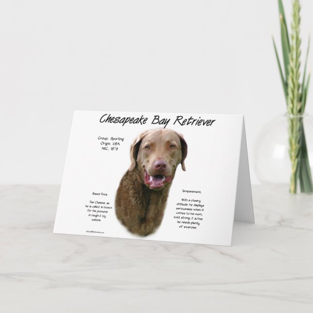 Chesapeake Bay-Retriever-Geschichtsentwurf Feiertagskarte (Vorderseite)