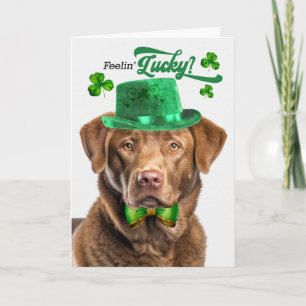 Chesapeake Bay Retriever Glücklicher St. Patrick's Feiertagskarte
