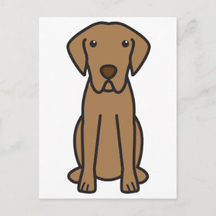 Chesapeake Bay Retriever Hund Cartoon Postkarte