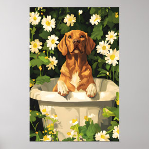 Chesapeake Bay Retriever in der Badewanne Poster, Poster