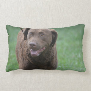 Chesapeake Bay-Retriever Lendenkissen