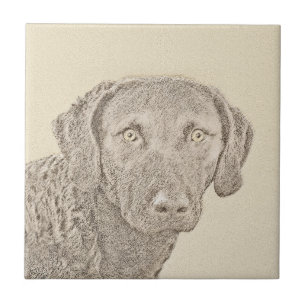 Chesapeake Bay Retriever Malerei Original Dog Art Fliese