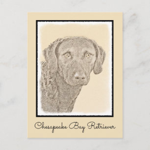 Chesapeake Bay Retriever Malerei Original Dog Art Postkarte