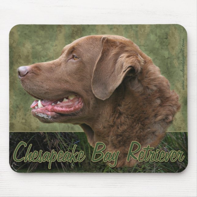 Chesapeake Bay-Retriever Mousepad (Vorne)
