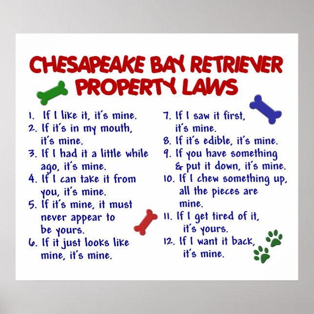 CHESAPEAKE BAY RETRIEVER PL2 POSTER (Vorne)