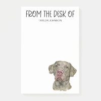 Chesapeake Bay Retriever