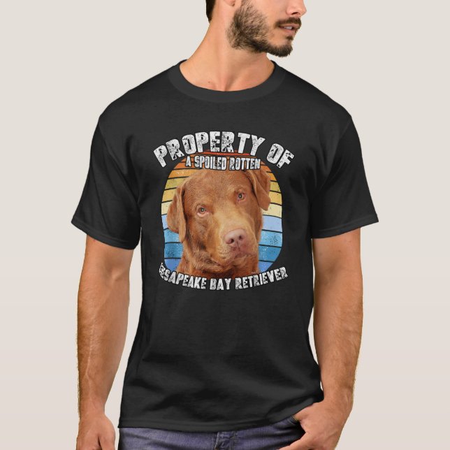 Chesapeake Bay Retriever Property Of  T-Shirt (Vorderseite)