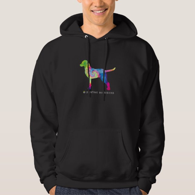 Chesapeake Bay Retriever Puppy Pet Downer Hippy Hoodie (Vorderseite)