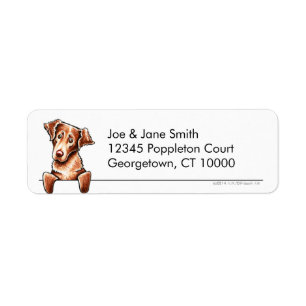 Chesapeake Bay-Retriever sauberes n einfach