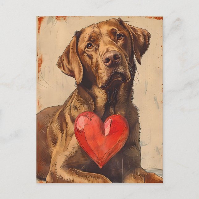 Chesapeake Bay Retriever Vintag Valentinstag Postkarte (Vorderseite)