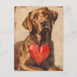 Chesapeake Bay Retriever Vintage Valentinstag Postkarte