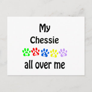 Chesapeake Bay Retriever Walking Design Postkarte