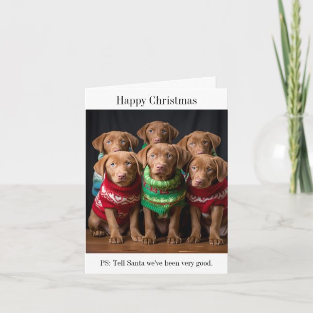 Chesapeake Bay Retriever Welpen Weihnachtskarte Karte (Vorderseite)