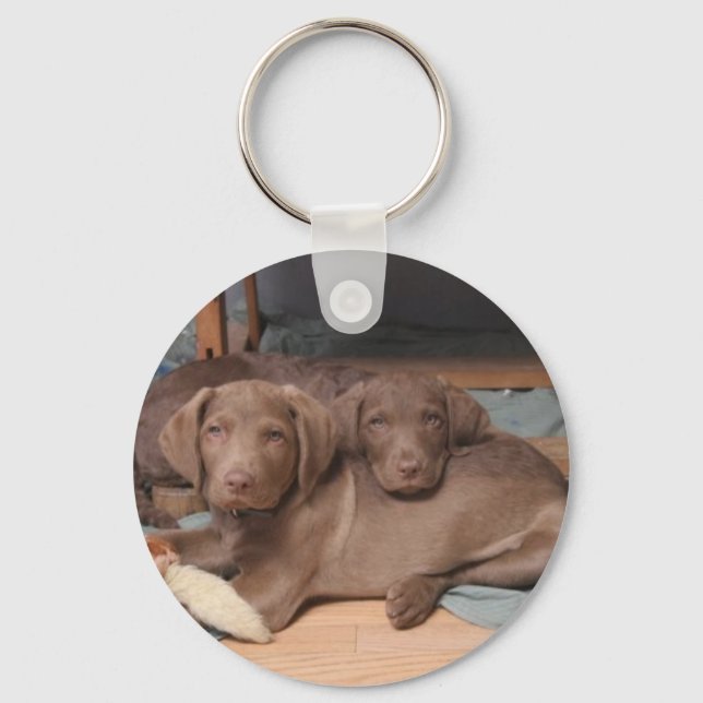 Chesapeake Bay Retrievers Schlüsselanhänger (Vorderseite)