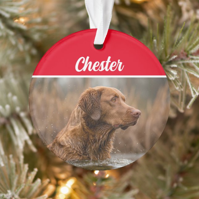 Chesapeake Retriever mit Name und Foto Weihnachten Ornament (Baum)