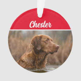 Chesapeake Retriever mit Name und Foto Weihnachten Ornament