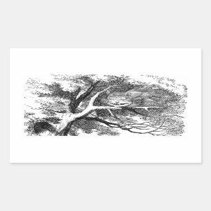 Cheshire-Katze versteckt in einem Baum Rechteckiger Aufkleber