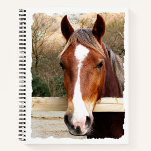 CHESNUT HORSE NOTIZBUCH