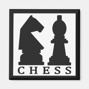 CHESS-Magnet Magnet