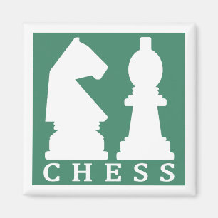 CHESS-Magnet Magnet