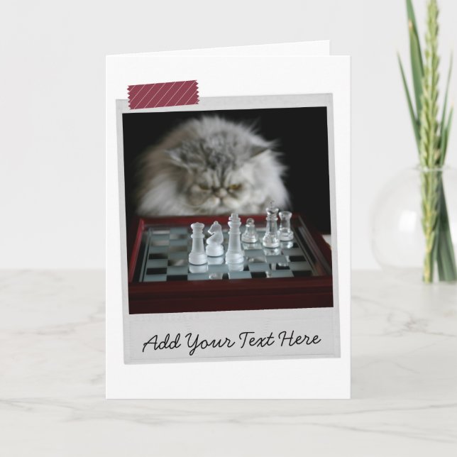 Chess Player Cat Funny Card Karte (Vorderseite)