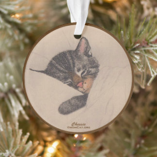 Chessie das schlafende Kätzchen Acryl-Ornament Ornament