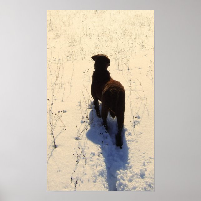 Chessie Poster (Vorne)