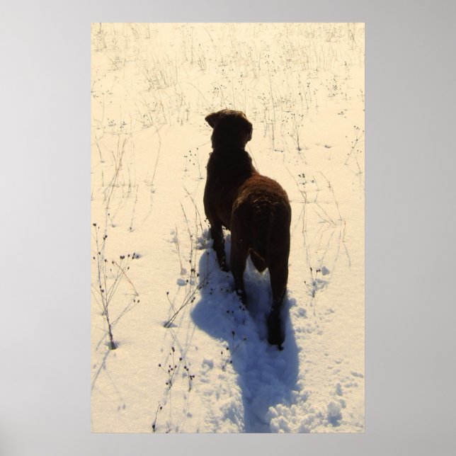 Chessie Poster (Vorne)