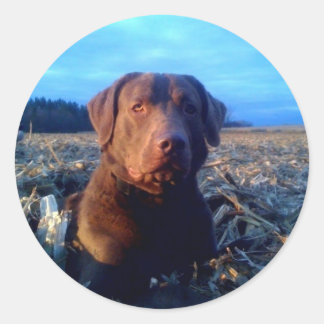 Chessie Runder Aufkleber