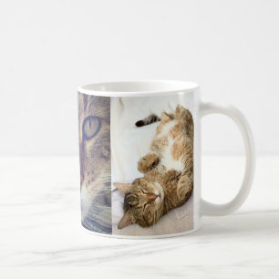 Chestermug Tasse