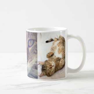Chestermug Tasse